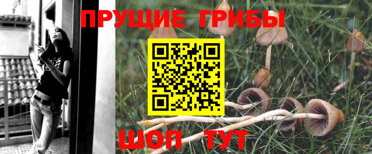 Галлюциногенные грибы мухоморы Кашира