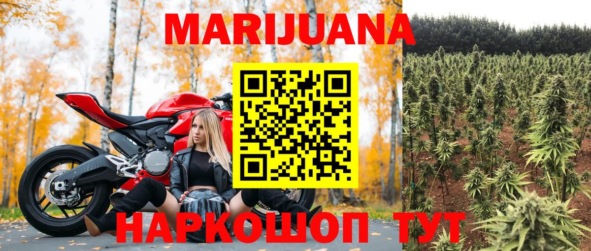 Бошки Шишки гибрид Кашира